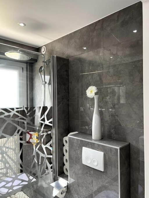Superbe Appartement Lumineux Avec Parking Gratuit Wintzenheim Luaran gambar