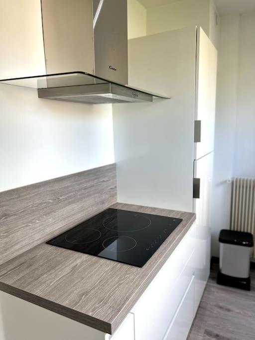 Superbe Appartement Lumineux Avec Parking Gratuit Wintzenheim Luaran gambar