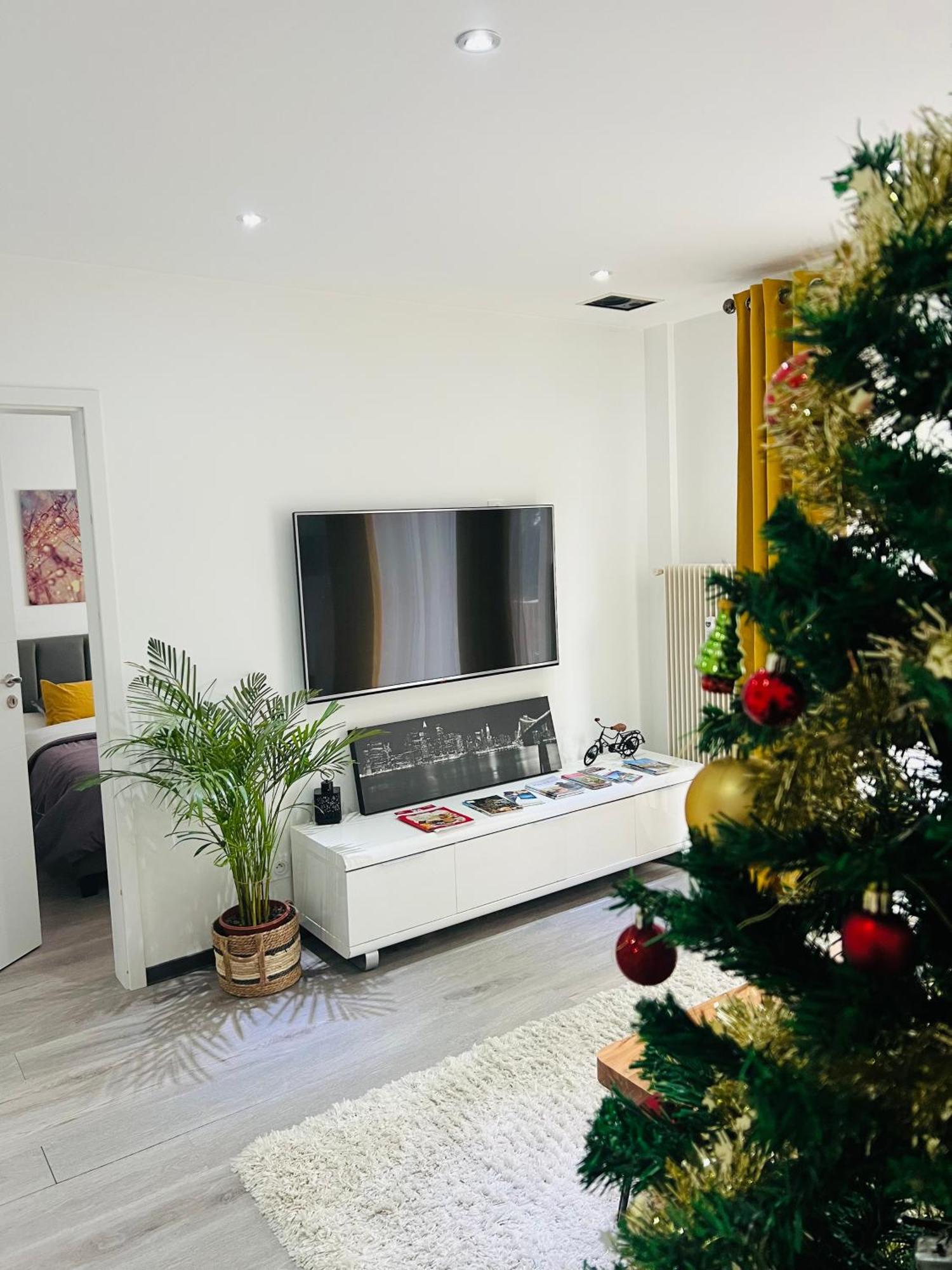 Superbe Appartement Lumineux Avec Parking Gratuit Wintzenheim Luaran gambar